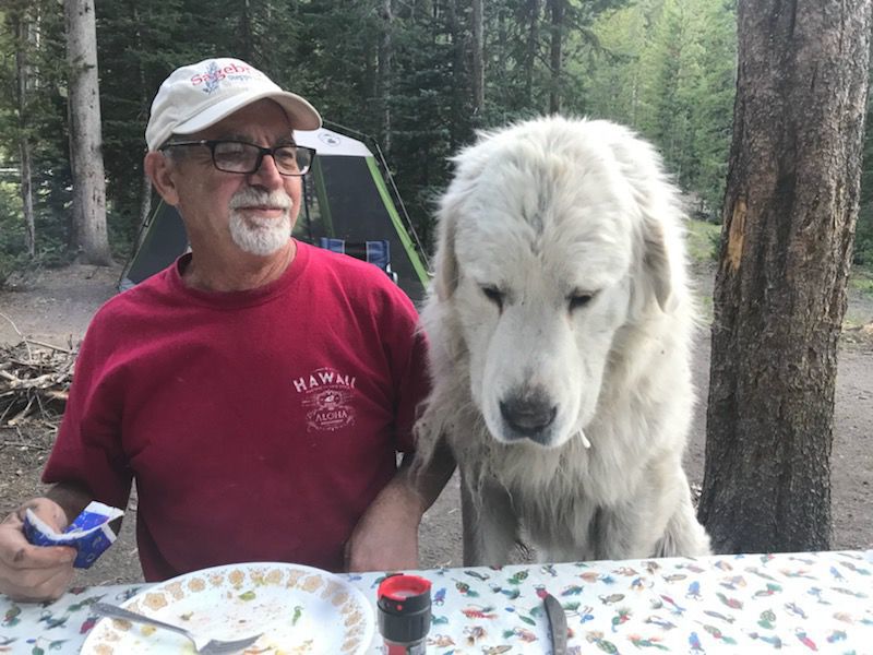 Randy Dixon with Pyrenees dog